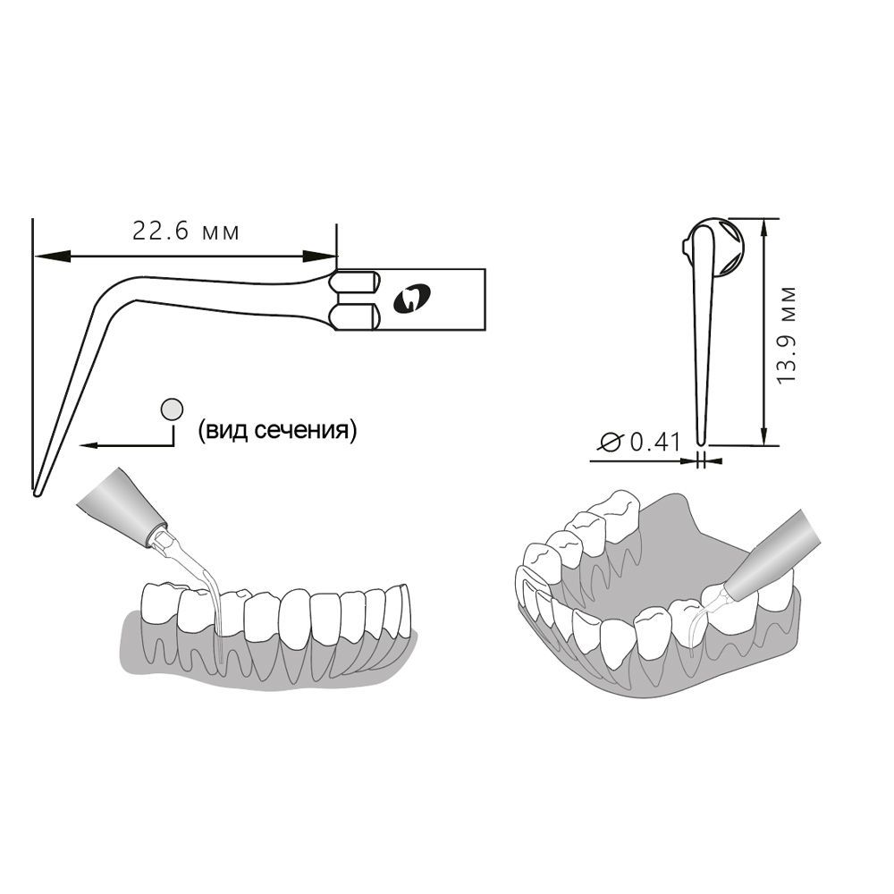 Приобрести Насадка для скалера P59/P59-S | Eighteeth в интернет-магазине dialog.dental