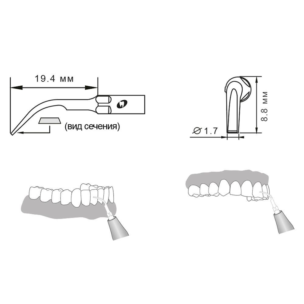 Приобрести Насадка для скалера G2/G2-S | Eighteeth в интернет-магазине dialog.dental