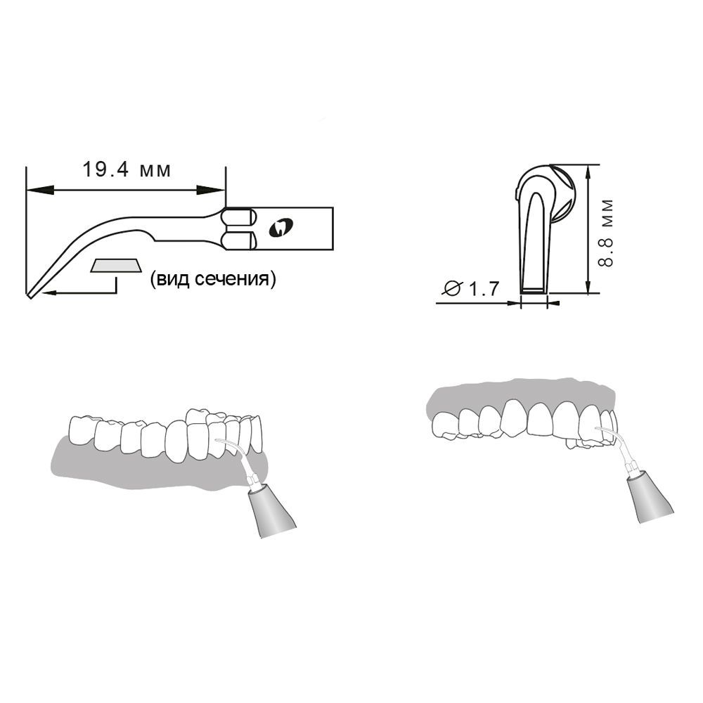 Приобрести Насадка для скалера E31/E31-S | Eighteeth в интернет-магазине dialog.dental