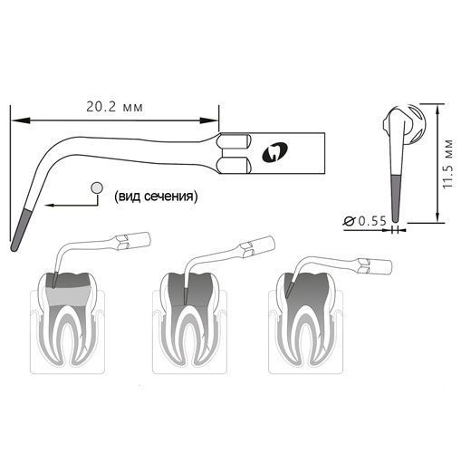 Приобрести Насадка для скалера P4D/P4-SD | Eighteeth в интернет-магазине dialog.dental