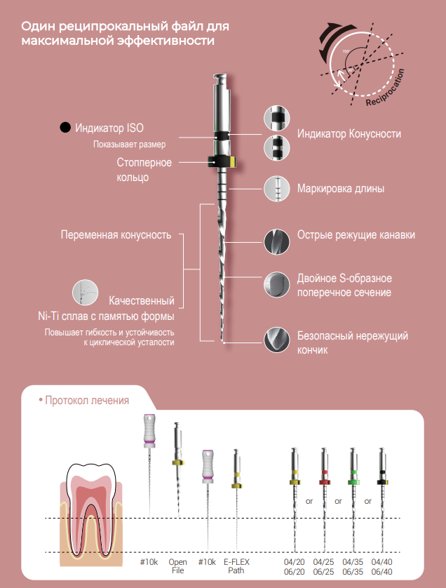 Заказать Файлы Eighteeth Rec | Eighteeth в интернет-магазине dialog.dental