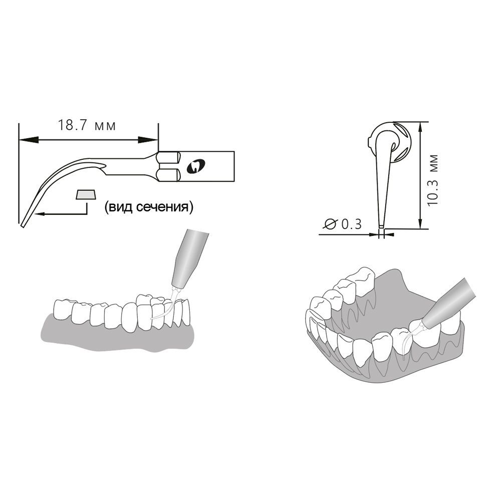 Приобрести Насадка для скалера P1/P1-S | Eighteeth в интернет-магазине dialog.dental