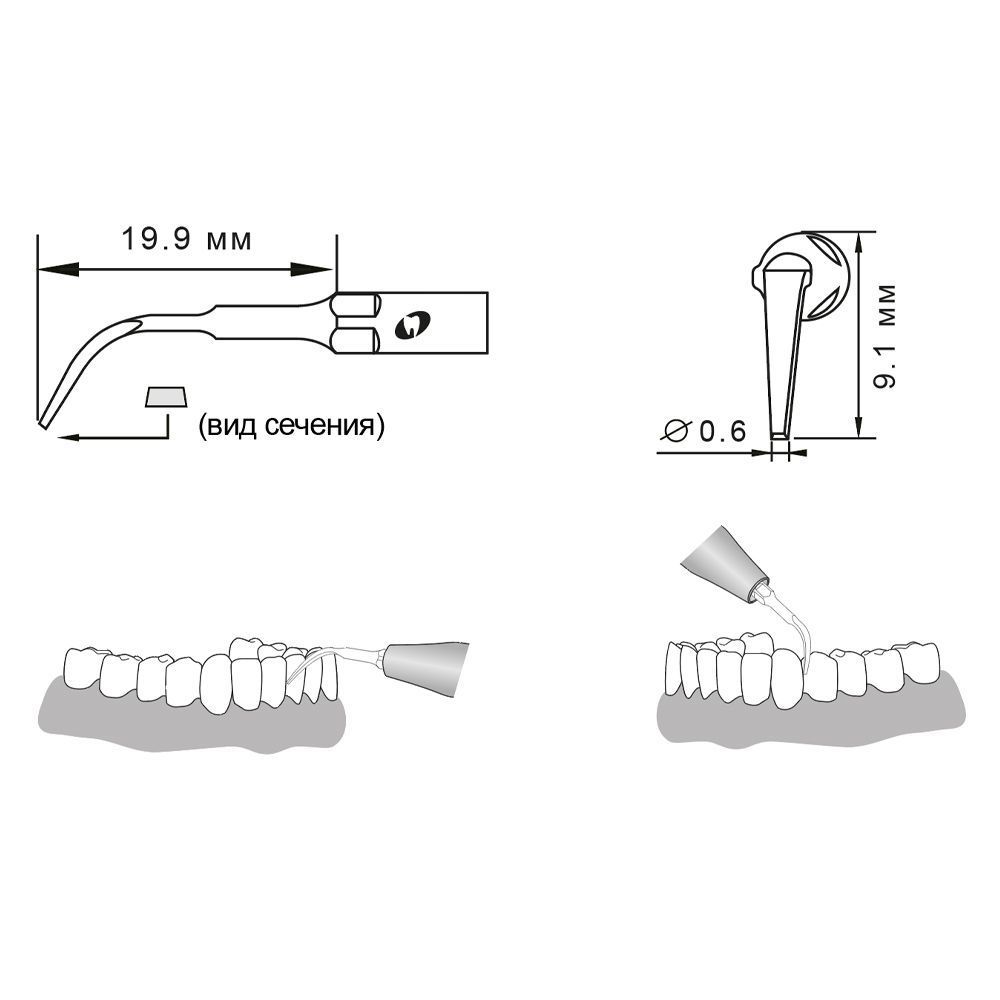 Приобрести Насадка для скалера G4/G4-S | Eighteeth в интернет-магазине dialog.dental