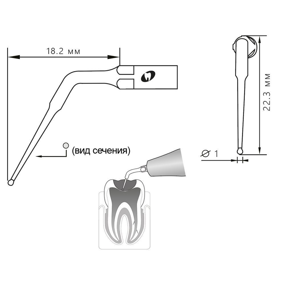 Приобрести Насадка для скалера E6D/E6-SD | Eighteeth в интернет-магазине dialog.dental
