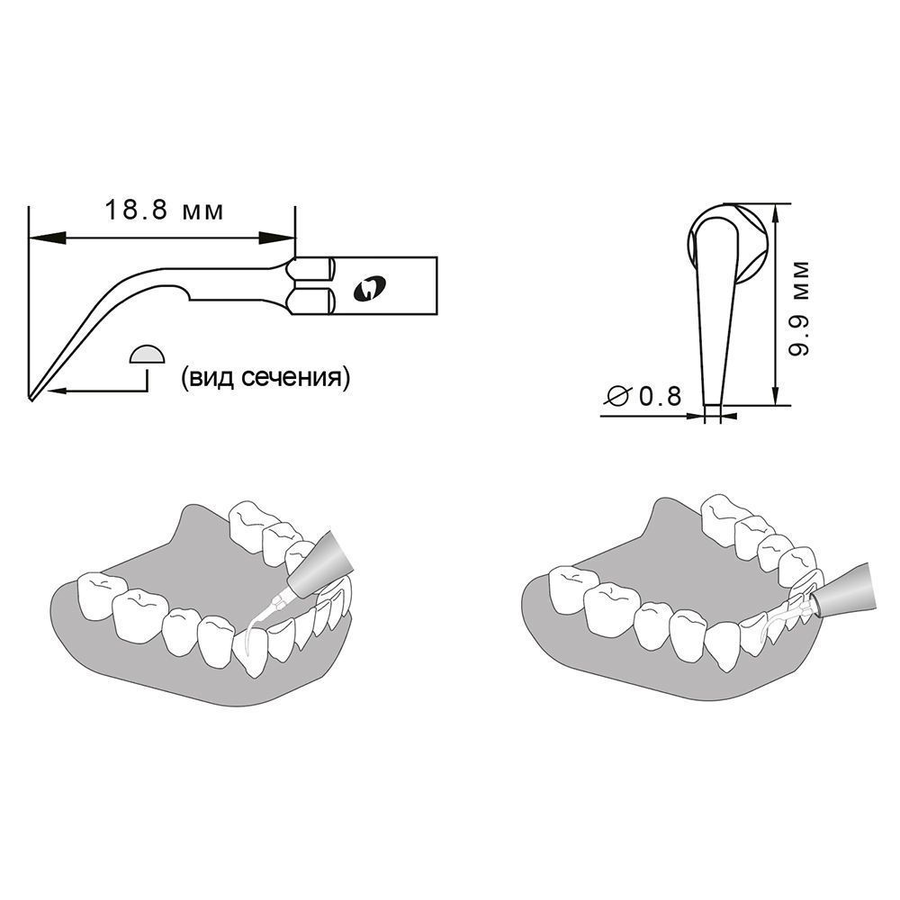 Приобрести Насадка для скалера G1/G1-S | Eighteeth в интернет-магазине dialog.dental