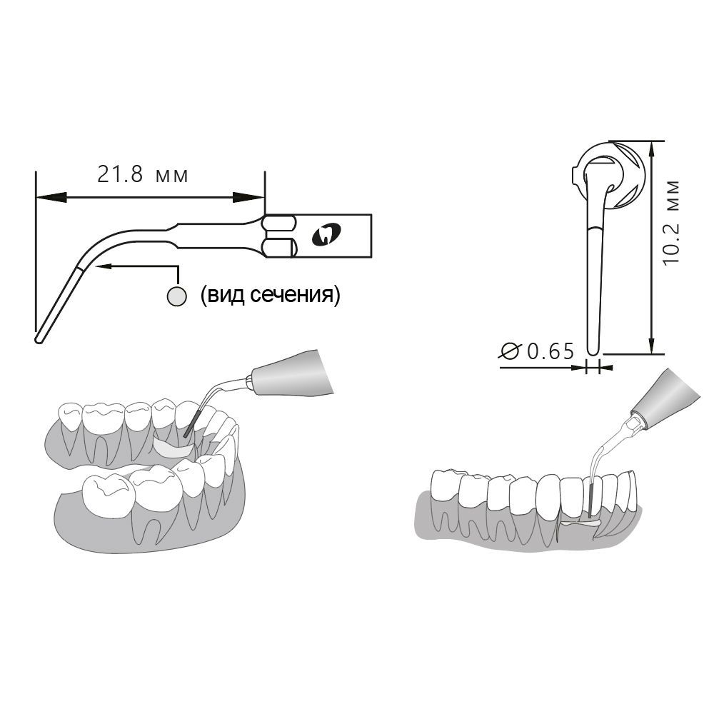 Приобрести Насадка для скалера P3D/P3-SD | Eighteeth в интернет-магазине dialog.dental