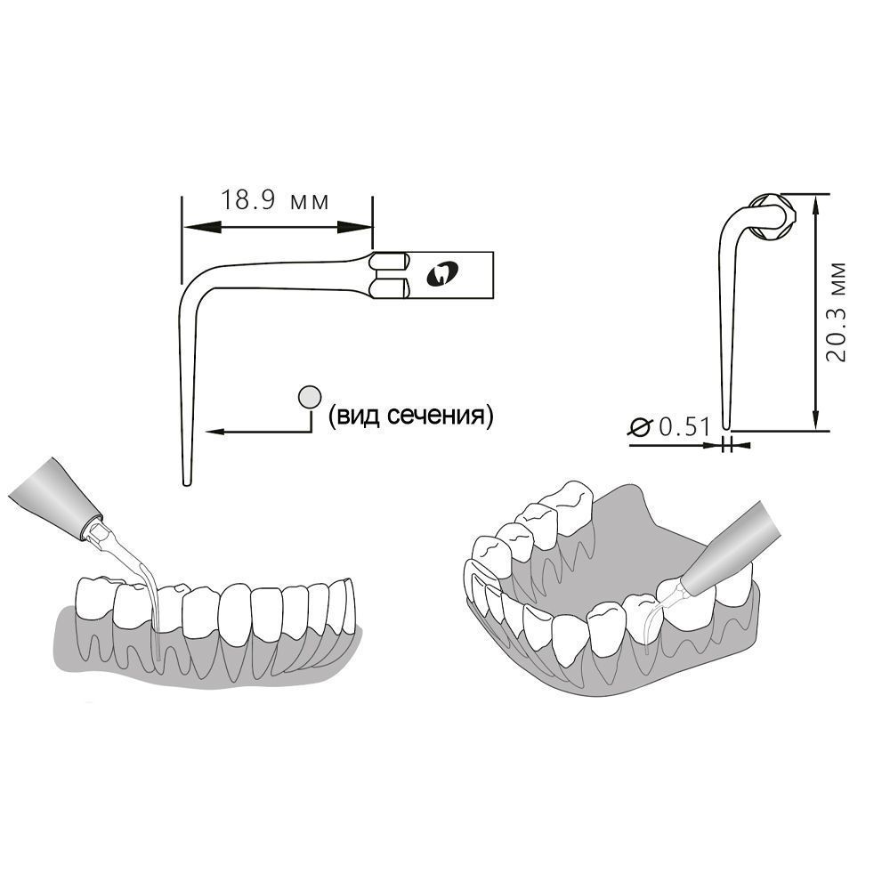 Приобрести Насадка для скалера P50R/P50R-S | Eighteeth в интернет-магазине dialog.dental