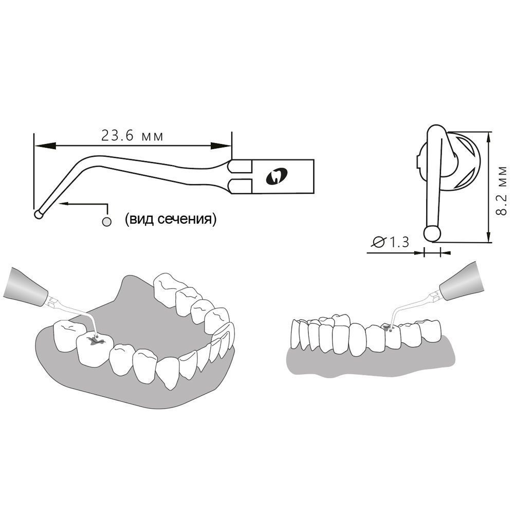 Приобрести Насадка для скалера TC1D/TC1-SD | Eighteeth в интернет-магазине dialog.dental