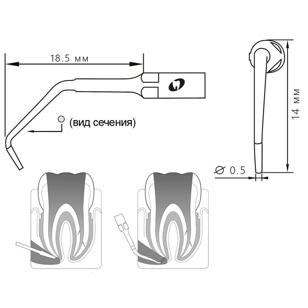 Приобрести Насадка для скалера E8D/E8-SD | Eighteeth в интернет-магазине dialog.dental