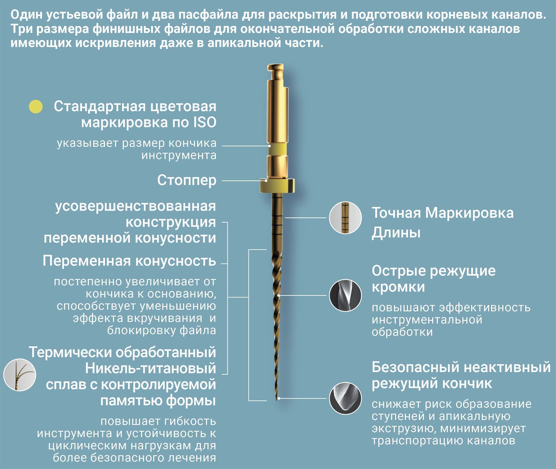 S - продажа оборудования для стоматологий Диалог Дентал Москва