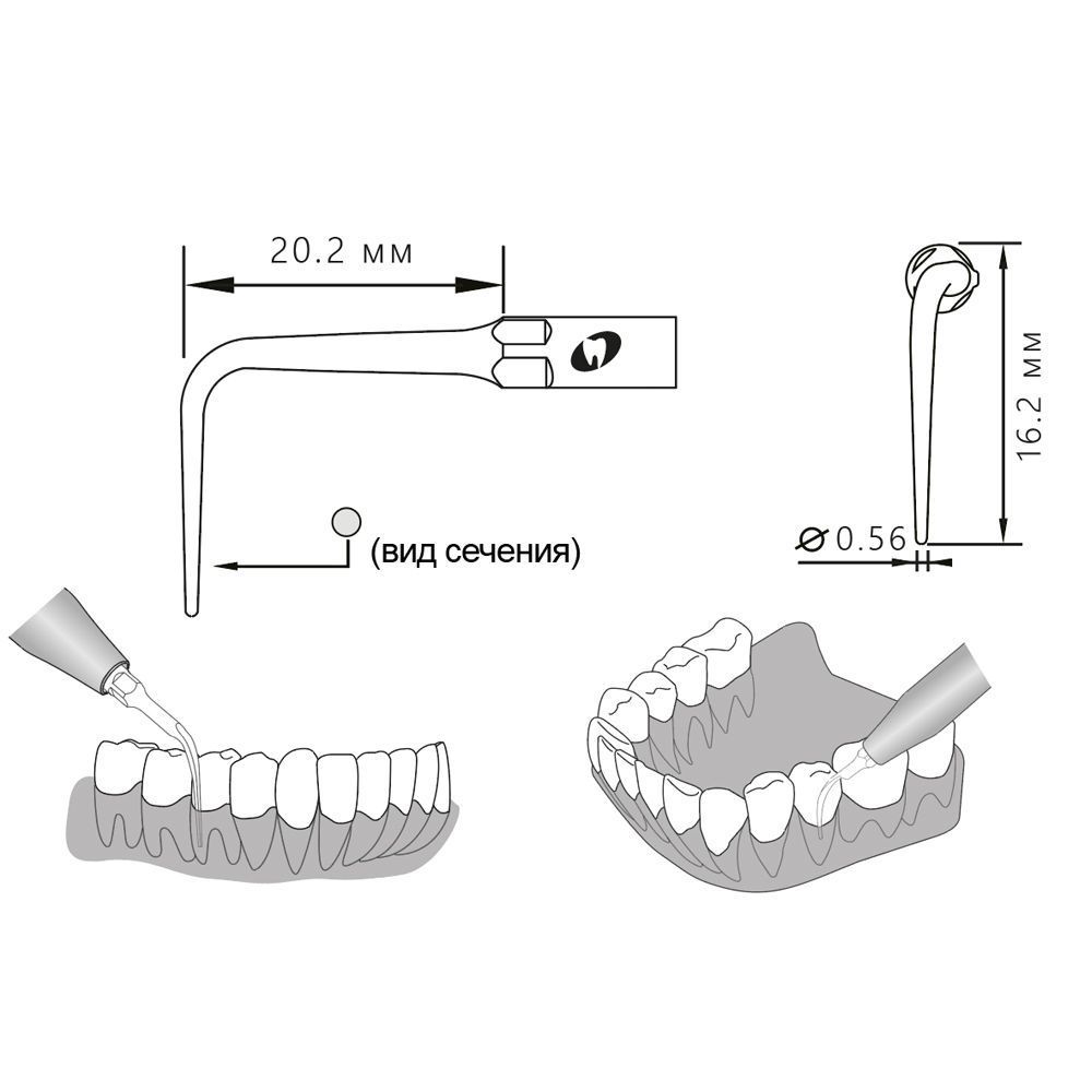 Приобрести Насадка для скалера P53R/P53R-S | Eighteeth в интернет-магазине dialog.dental