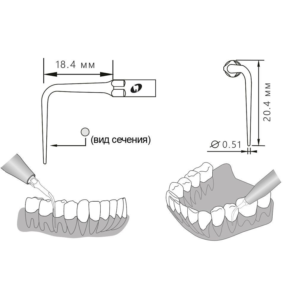 Приобрести Насадка для скалера P50L/P50L-S | Eighteeth в интернет-магазине dialog.dental