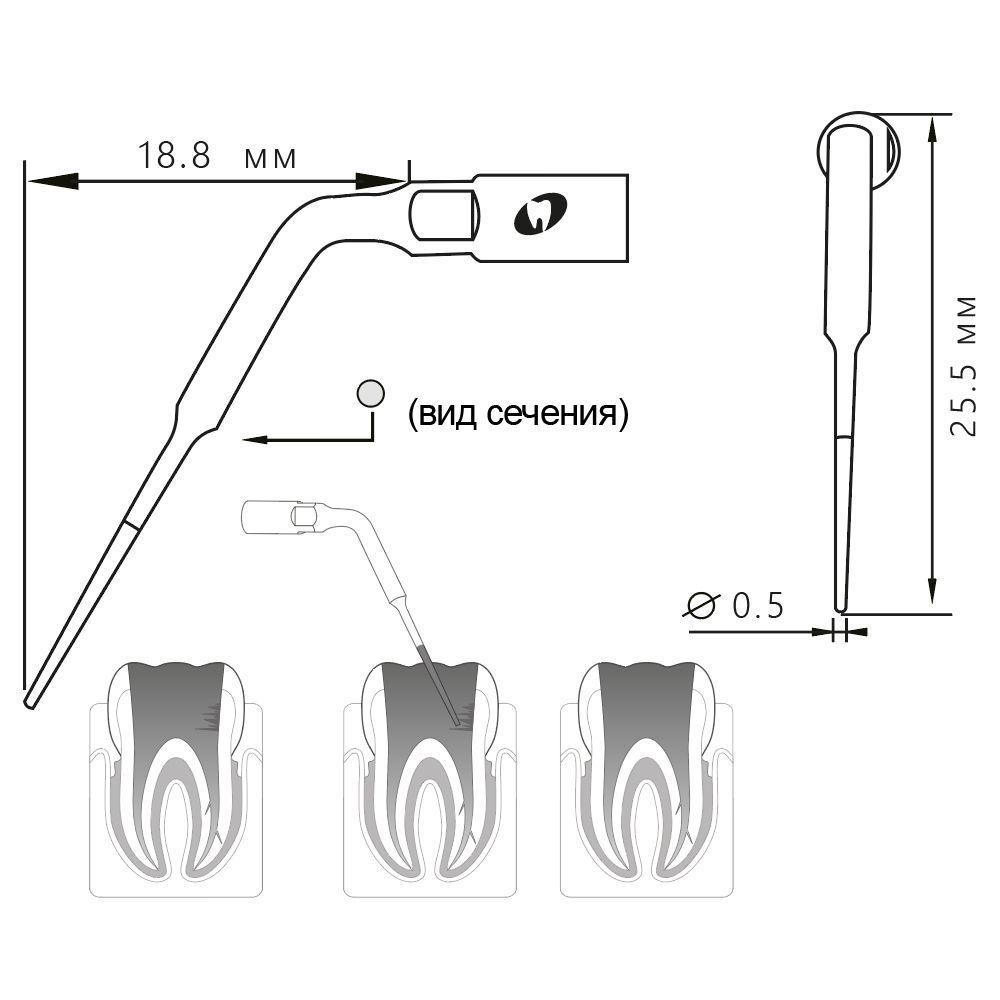 Приобрести Насадка для скалера E5D/E5-SD | Eighteeth в интернет-магазине dialog.dental
