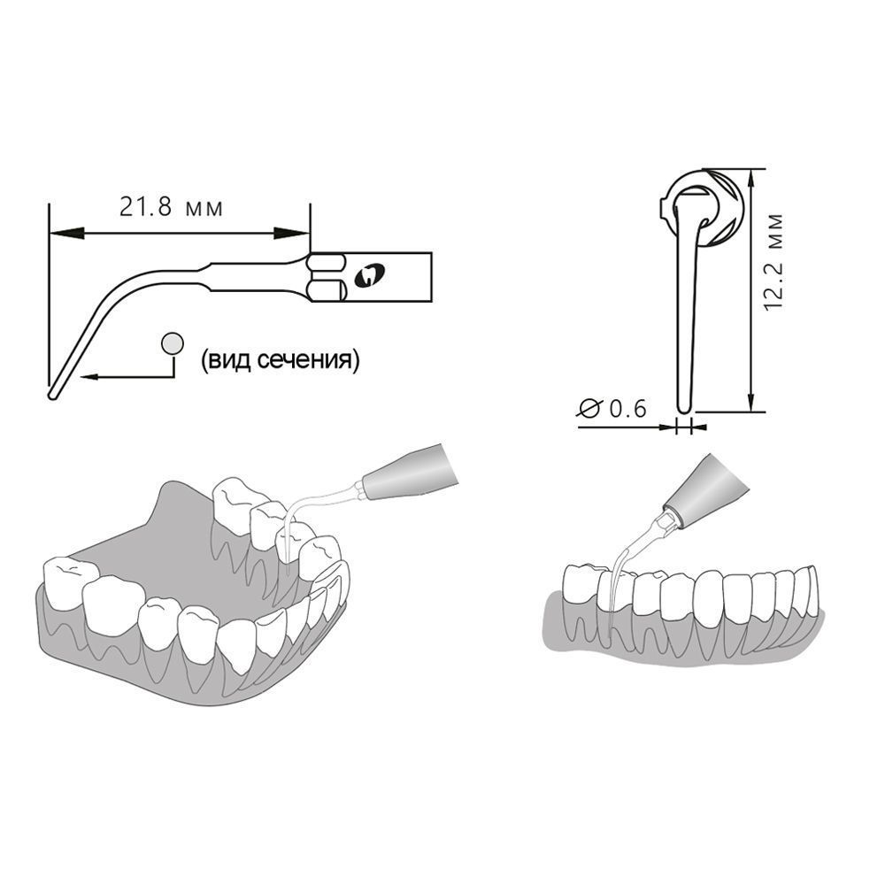 Приобрести Насадка для скалера P3/P3-S | Eighteeth в интернет-магазине dialog.dental