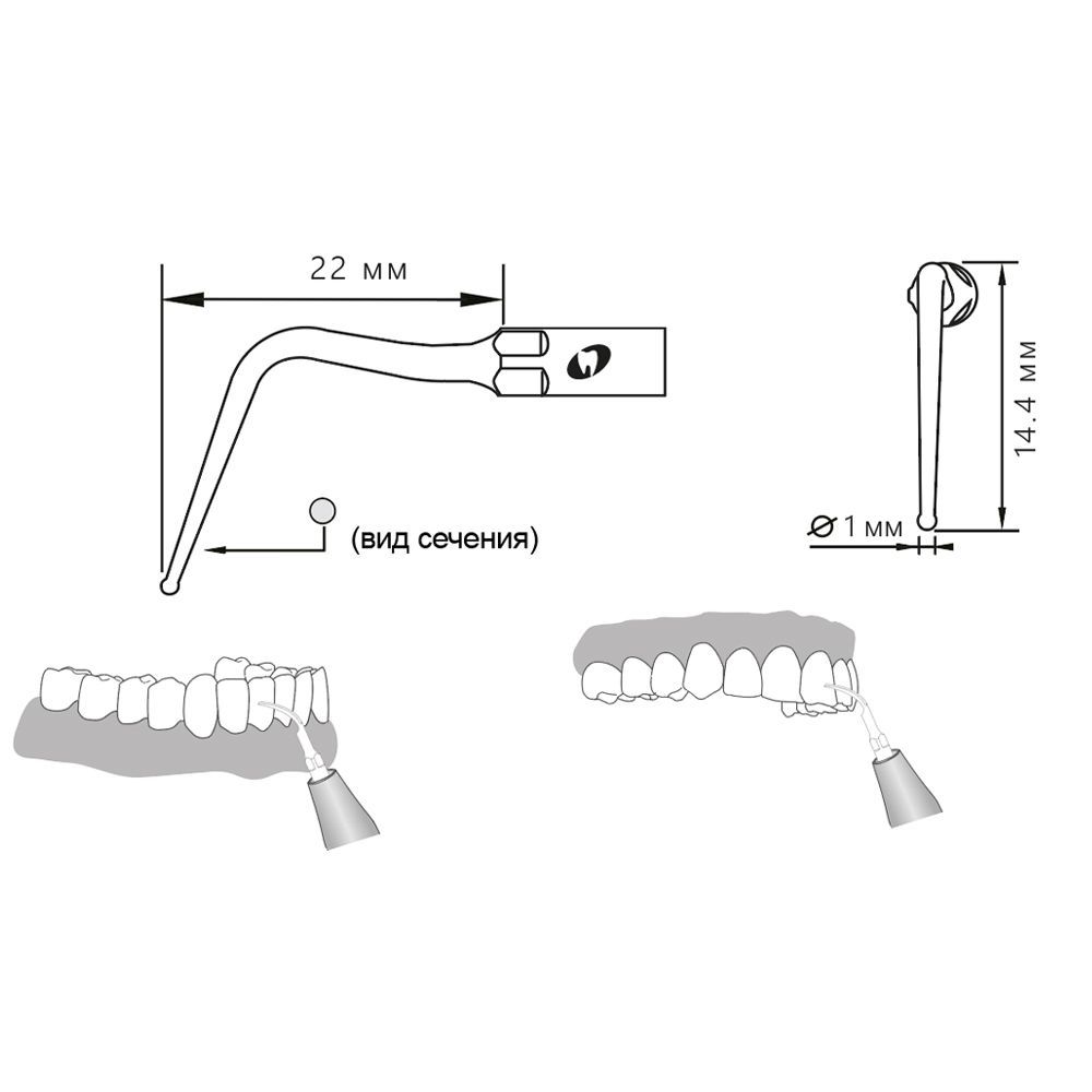 Приобрести Насадка для скалера P56/P56-S | Eighteeth в интернет-магазине dialog.dental