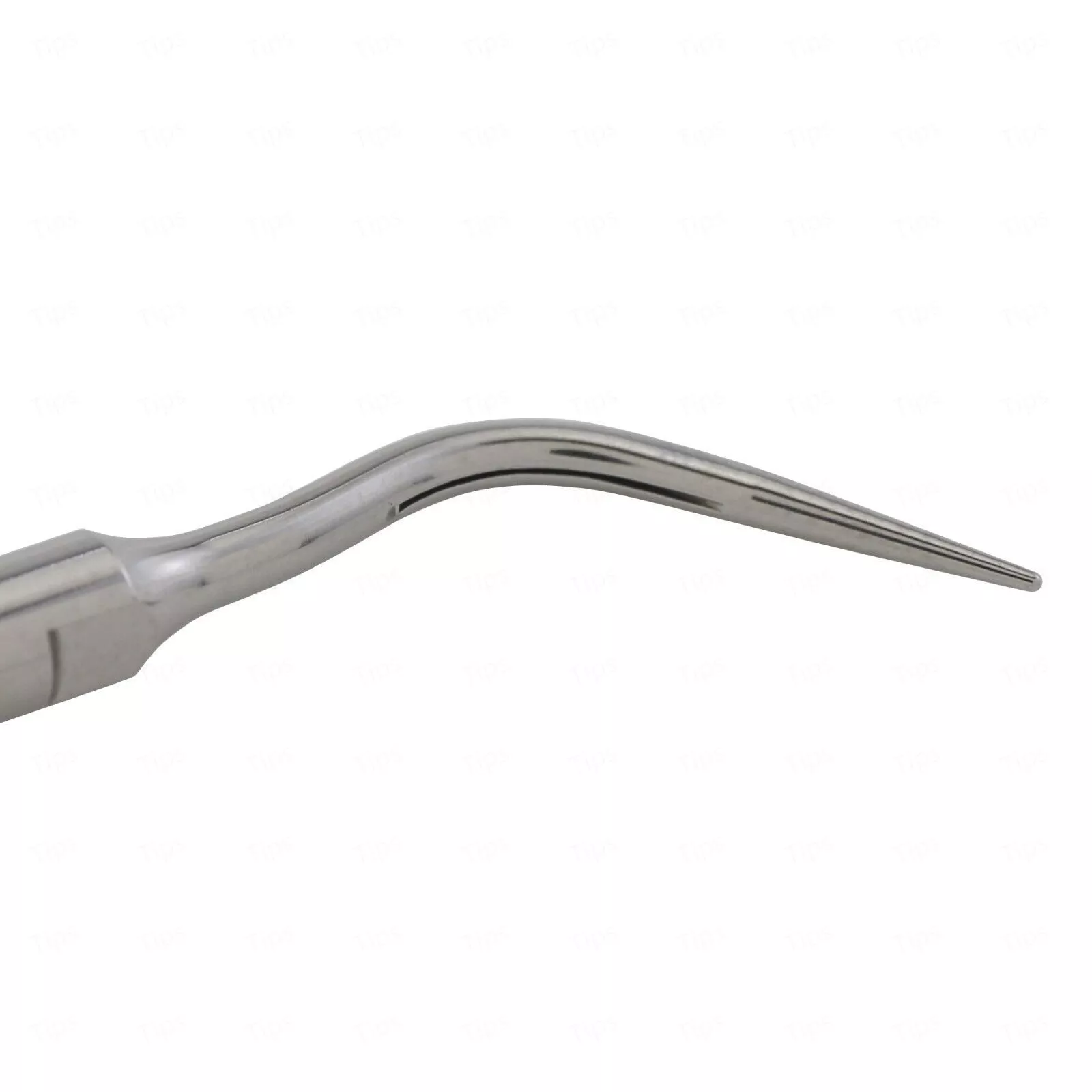 В наличии Насадка для скалера #10P | Acteon в интернет-магазине dialog.dental