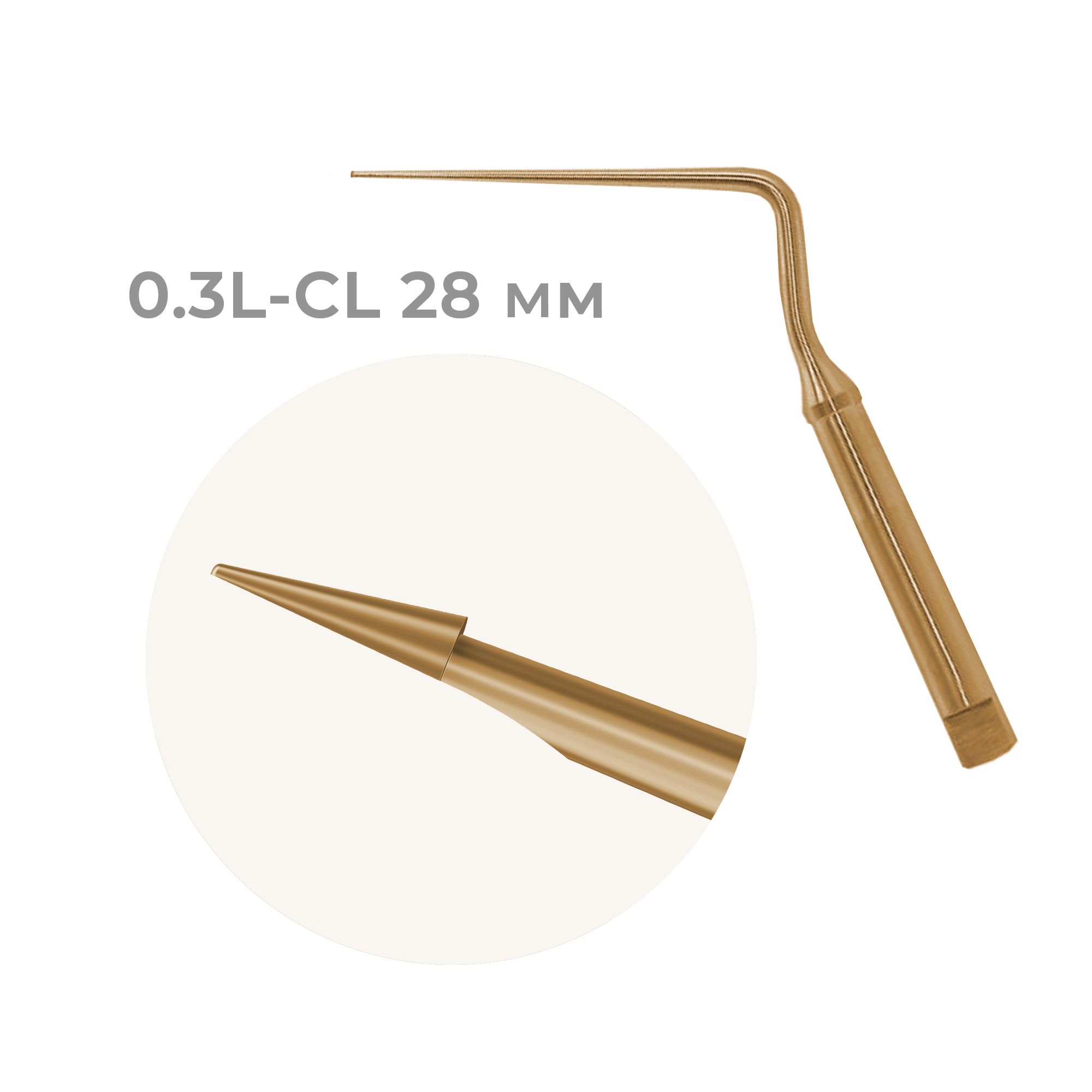 Купить Сменный наконечник кюреты RT Scraper для удаления гуттаперчи в корневом канале, 0.3L-CL 28 мм | Dialog в интернет-магазине dialog.dental